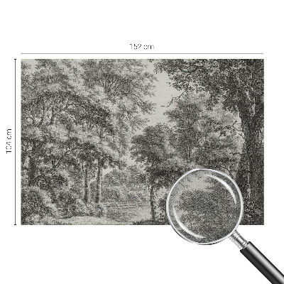 Samolepicí dekorativní fototapeta Lesní scenérie