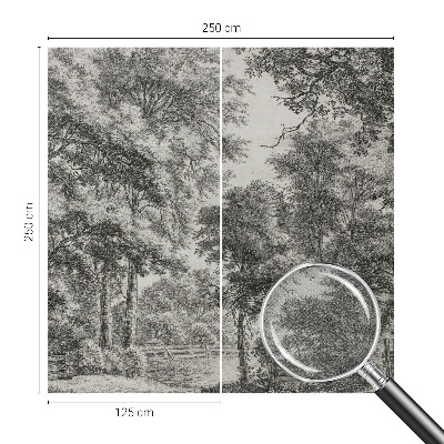 Samolepicí dekorativní fototapeta Lesní scenérie