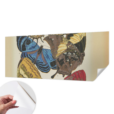 Fototapeta pro holku Inspirace motýly