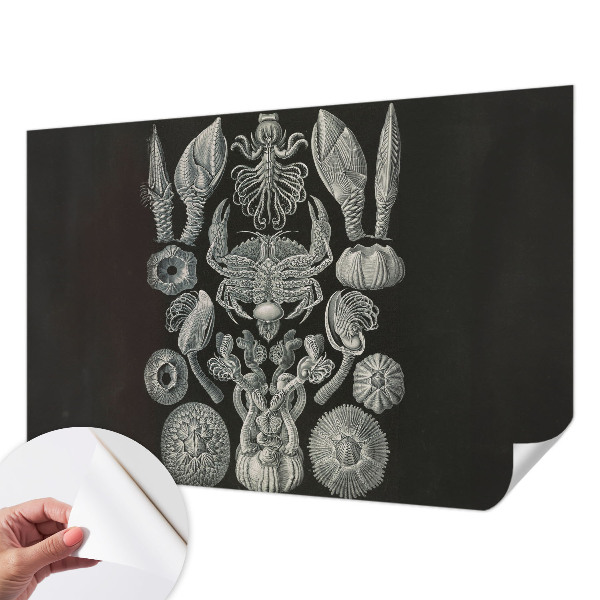 Samolepící fototapeta 3d Podvodní formy