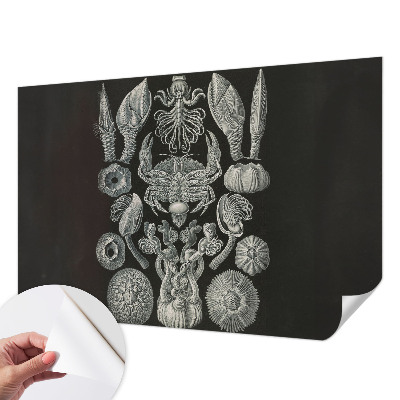 Samolepící fototapeta 3d Podvodní formy