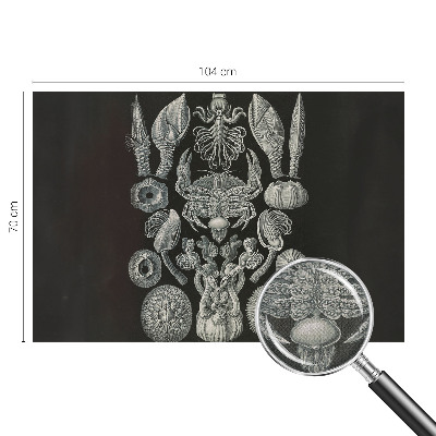 Samolepící fototapeta 3d Podvodní formy