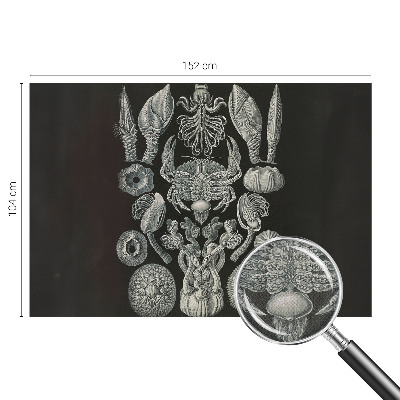 Samolepící fototapeta 3d Podvodní formy
