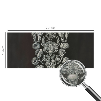 Samolepící fototapeta 3d Podvodní formy