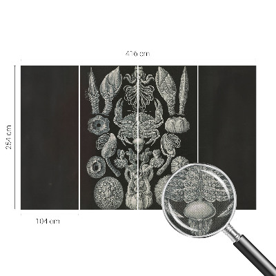 Samolepící fototapeta 3d Podvodní formy