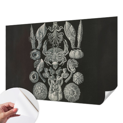 Samolepící fototapeta 3d Podvodní formy