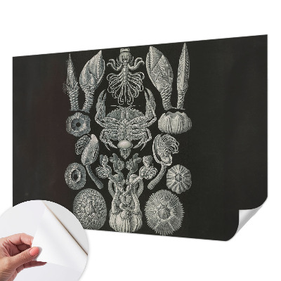 Samolepící fototapeta 3d Podvodní formy