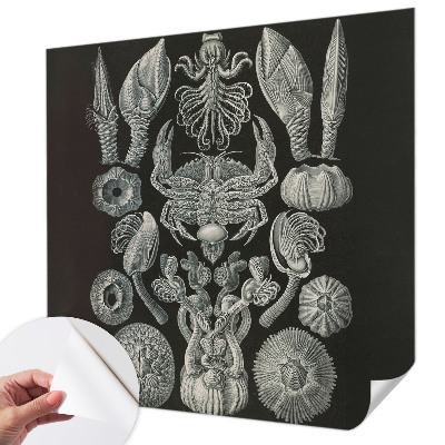 Samolepící fototapeta 3d Podvodní formy