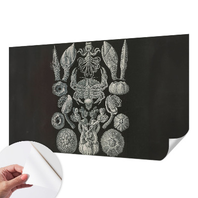 Samolepící fototapeta 3d Podvodní formy