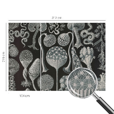 Samolepicí fototapeta Magické rostliny