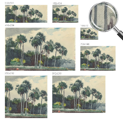 Fototapeta do dětského pokoje Exotické palmy