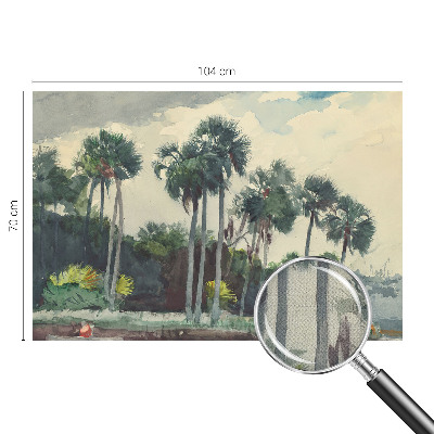 Fototapeta do dětského pokoje Exotické palmy