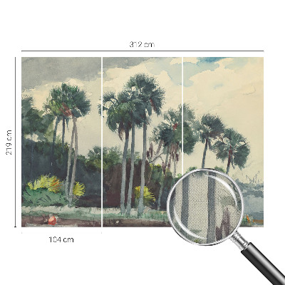 Fototapeta do dětského pokoje Exotické palmy