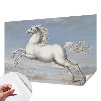 Fototapeta pro holku Koně ve skoku