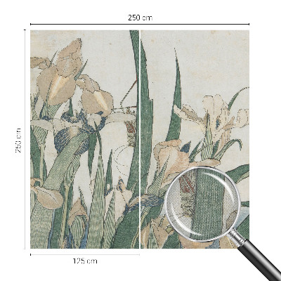 Samolepicí dekorativní fototapeta Jemné kosatce