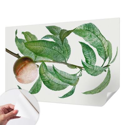 Samolepící tapeta Zralá broskev