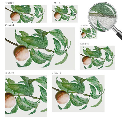 Samolepící tapeta Zralá broskev