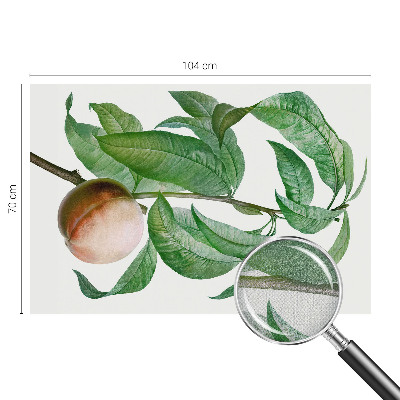 Samolepící tapeta Zralá broskev