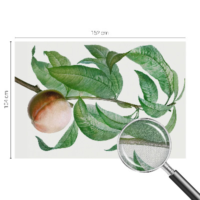 Samolepící tapeta Zralá broskev