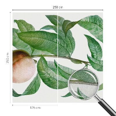 Samolepící tapeta Zralá broskev