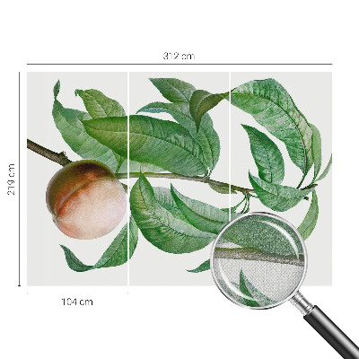 Samolepící tapeta Zralá broskev