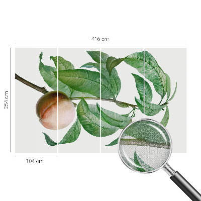 Samolepící tapeta Zralá broskev