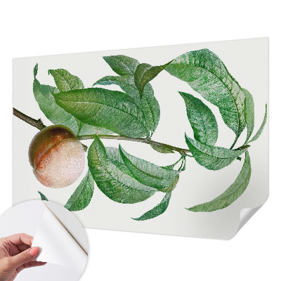 Samolepící tapeta Zralá broskev