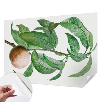 Samolepící tapeta Zralá broskev