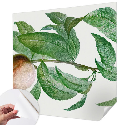 Samolepící tapeta Zralá broskev