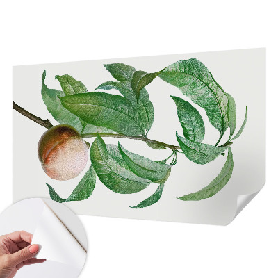 Samolepící tapeta Zralá broskev