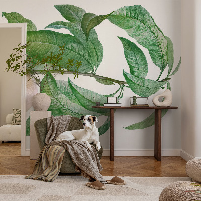 Samolepící tapeta Zralá broskev