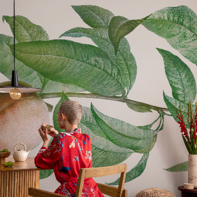 Samolepící tapeta Zralá broskev