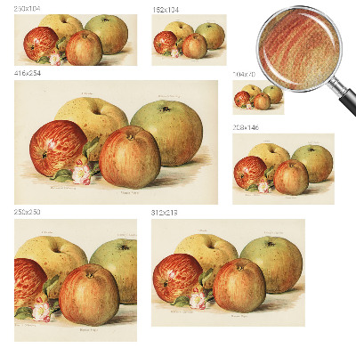 Samolepící tapeta Jabloňové květy