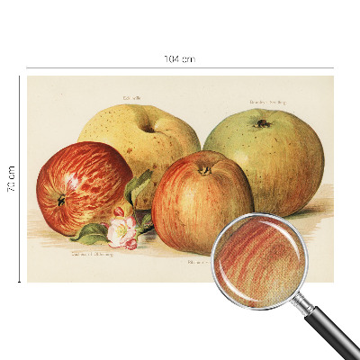 Samolepící tapeta Jabloňové květy