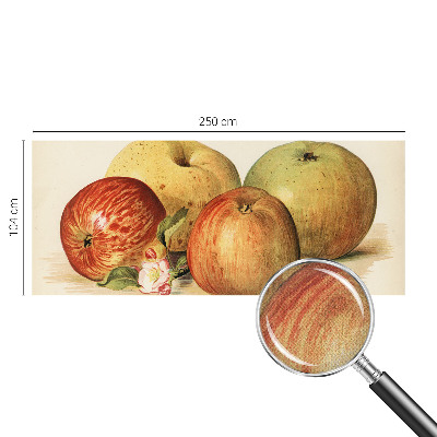 Samolepící tapeta Jabloňové květy