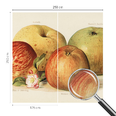 Samolepící tapeta Jabloňové květy