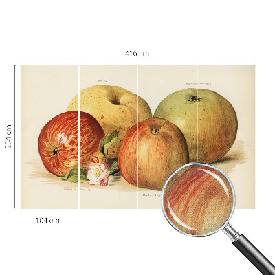 Samolepící tapeta Jabloňové květy