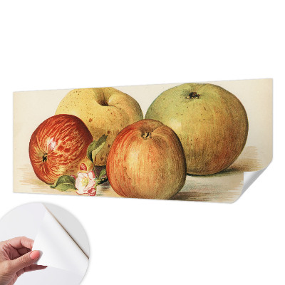 Samolepící tapeta Jabloňové květy