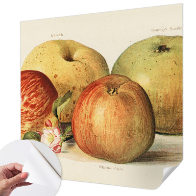 Samolepící tapeta Jabloňové květy