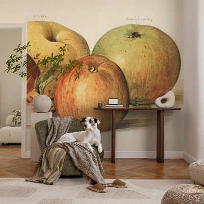 Samolepící tapeta Jabloňové květy