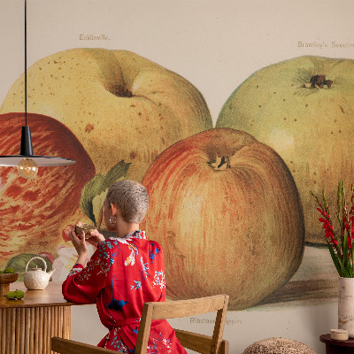 Samolepící tapeta Jabloňové květy