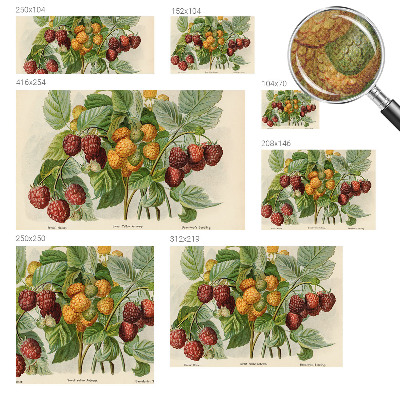 Samolepicí fototapeta na zeď Klasické maliny