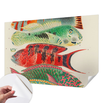 Samolepící tapeta Exotické ryby