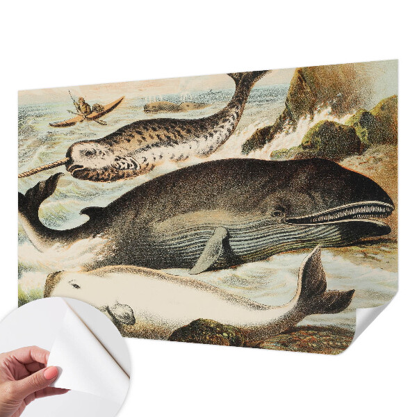 Samolepící tapeta Mořští obři