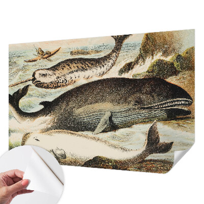 Samolepící tapeta Mořští obři