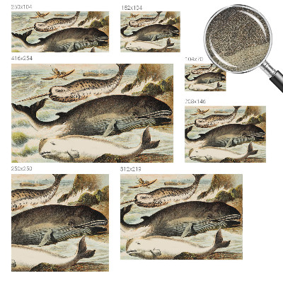 Samolepící tapeta Mořští obři