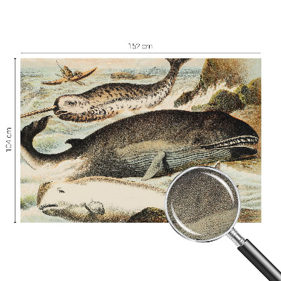 Samolepící tapeta Mořští obři