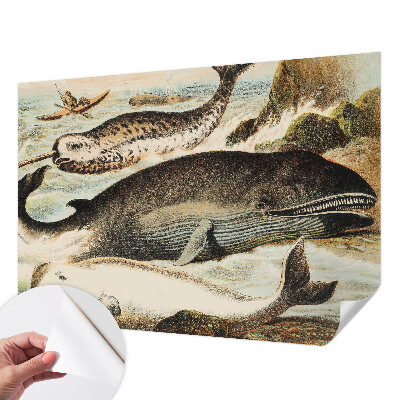 Samolepící tapeta Mořští obři