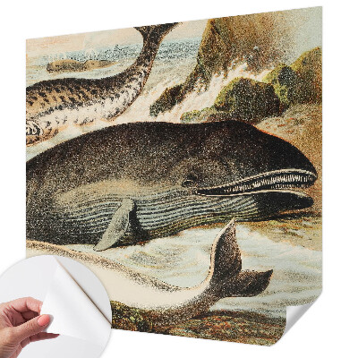 Samolepící tapeta Mořští obři