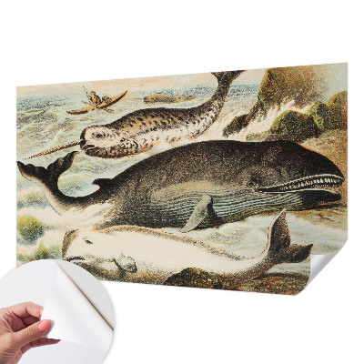 Samolepící tapeta Mořští obři